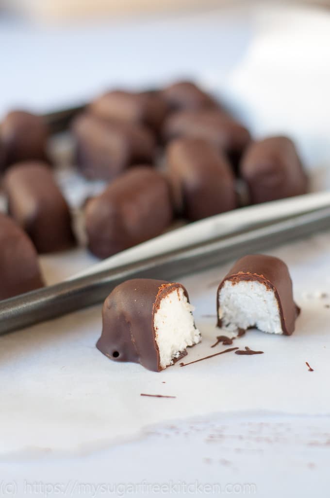 Sugar free healthy bounty bars naturally sweetened with stevia.